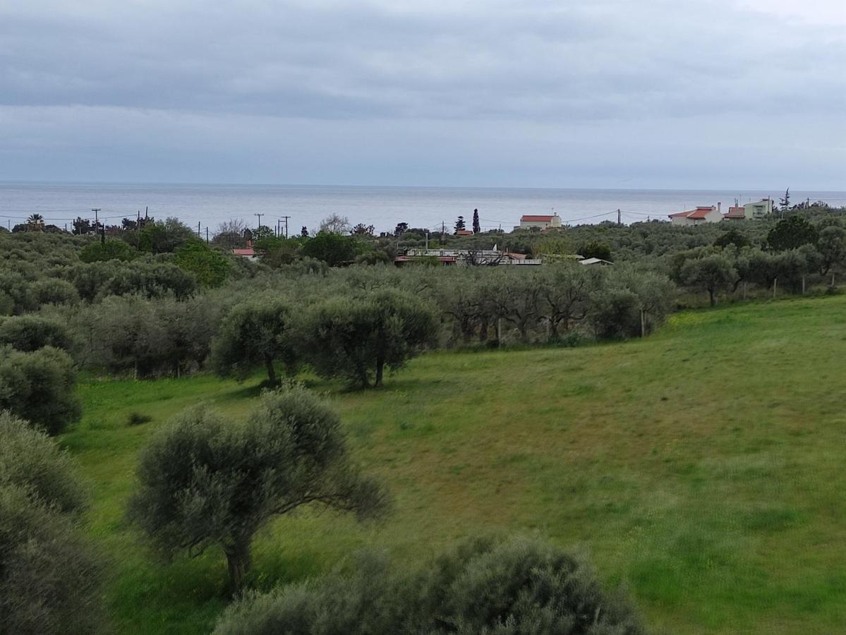 Villa Onari Alexandrópolis Exterior foto